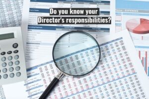 Directors responsibilities